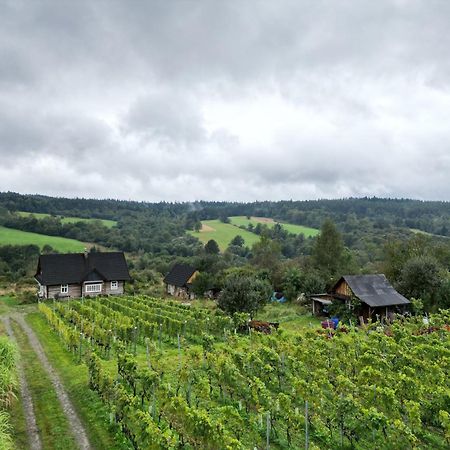 Utopia Dom Przy Winnicy Nowica Exterior foto
