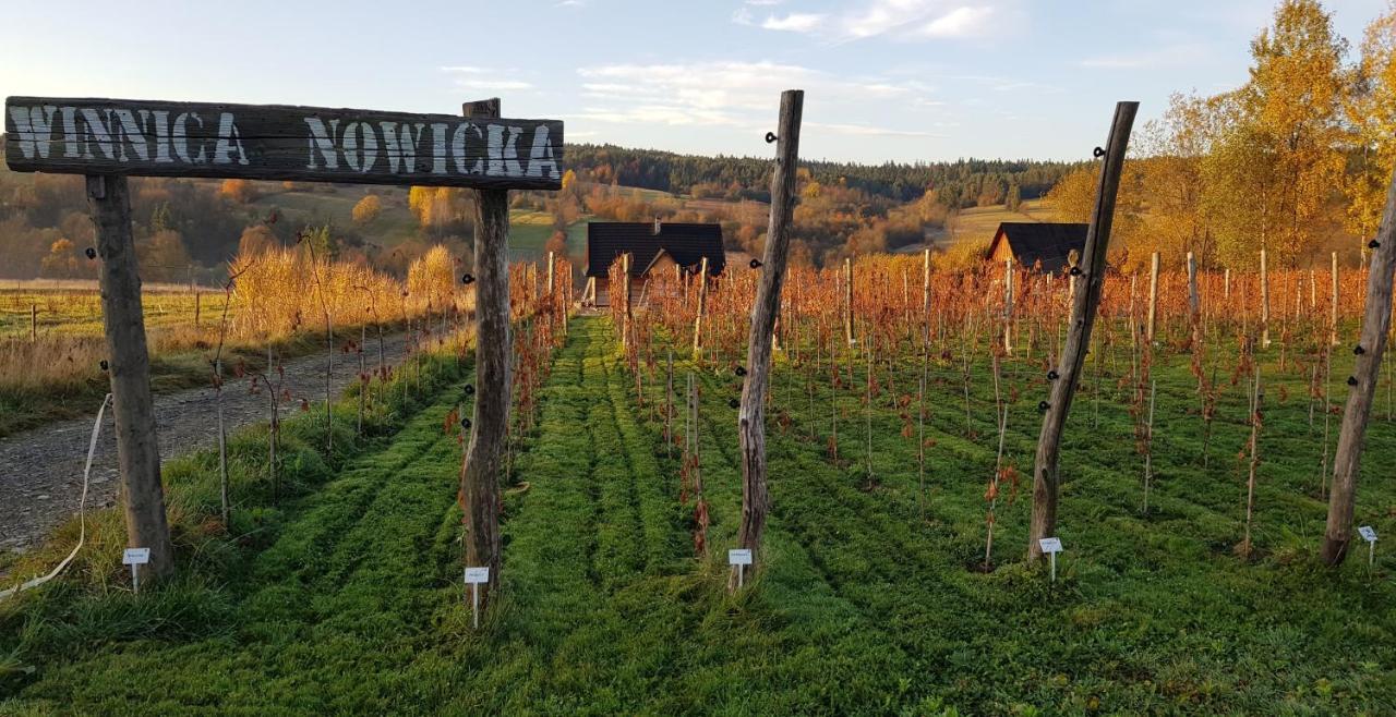 Utopia Dom Przy Winnicy Nowica Exterior foto