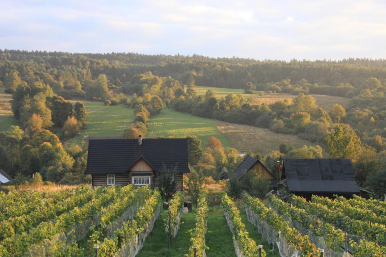 Utopia Dom Przy Winnicy Nowica Exterior foto