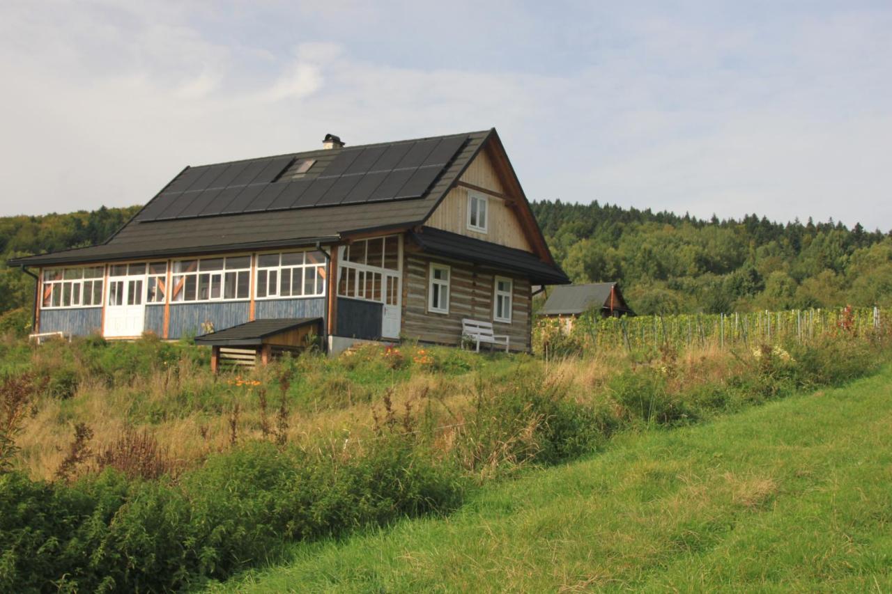 Utopia Dom Przy Winnicy Nowica Exterior foto