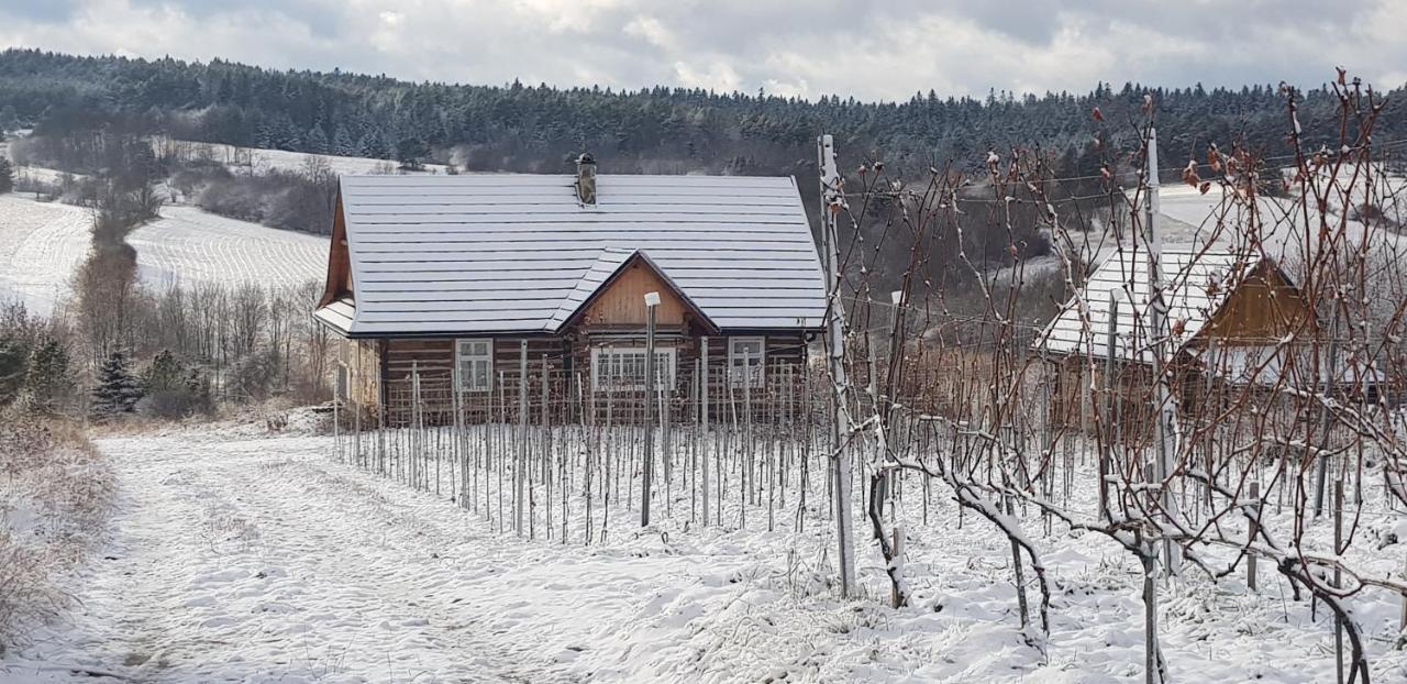 Utopia Dom Przy Winnicy Nowica Exterior foto
